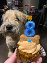 Load image into Gallery viewer, Meatloaf Pupcakes