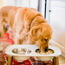 Load image into Gallery viewer, Turkey Feast