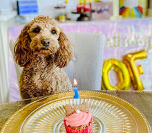 Load image into Gallery viewer, Chicken & Bacon Pupcakes