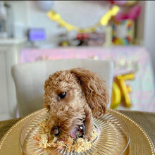 Load image into Gallery viewer, Chicken & Bacon Pupcakes