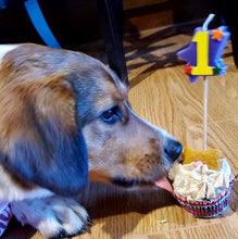 Load image into Gallery viewer, Meatloaf Pupcakes