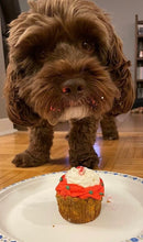 Load image into Gallery viewer, Meatloaf Pupcakes
