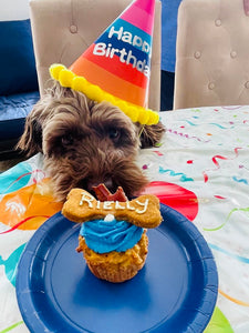 Grain-Free Pumpkin, PB & Carrot Pupcakes