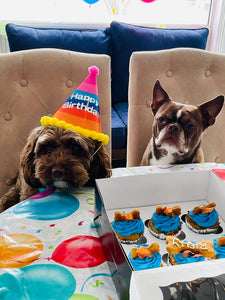 Grain-Free Pumpkin, PB & Carrot Pupcakes