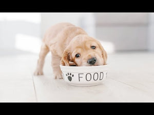 Tender Chicken Feast - Grain Free