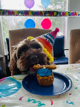 Load image into Gallery viewer, Grain-Free Pumpkin, PB &amp; Carrot Pupcakes
