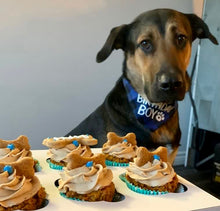 Load image into Gallery viewer, Grain-Free Pumpkin, PB &amp; Carrot Pupcakes
